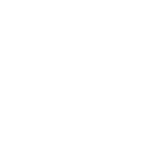 Training and Consultancy